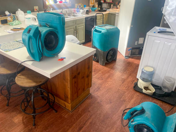 Carpet water damage restoration in Bullhead City, AZ