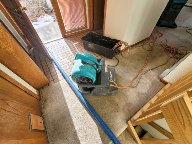 Best Sewage cleanup and water damage restoration  in Bullhead City, AZ
