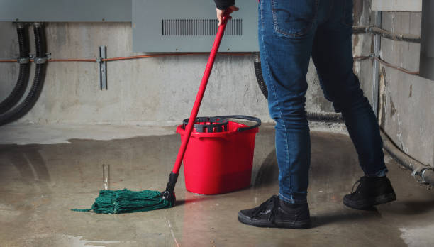 Best Mold removal after water damage  in Bullhead City, AZ