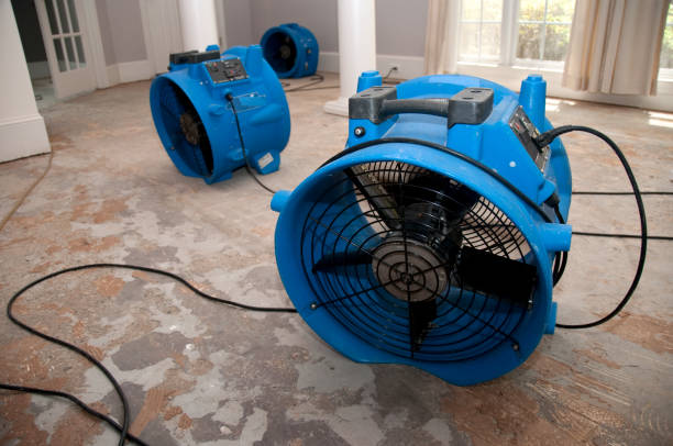 Best 24-hour water damage restoration  in Bullhead City, AZ