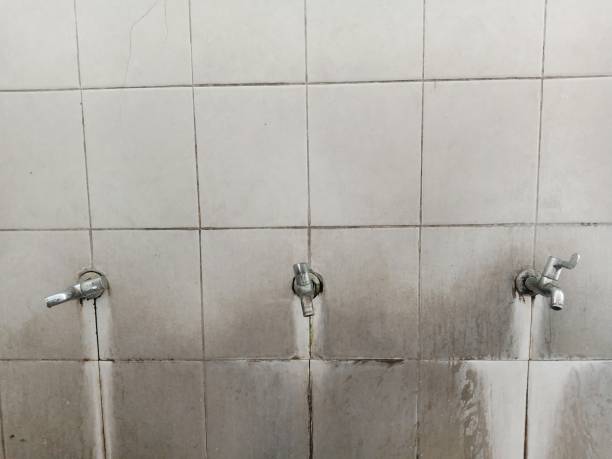 Best Emergency water damage restoration  in Bullhead City, AZ