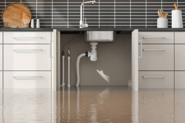 Professional Water damage restoration in Bullhead City, AZ